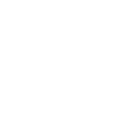 Our Fabulous Services